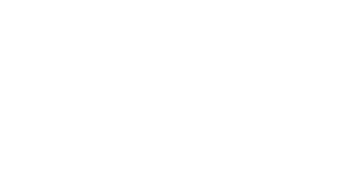 Bwindi Mgahinga Conservation Trust
